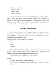 Marketingo komplekso analizė: UAB "Fazer kepykla" 6 puslapis