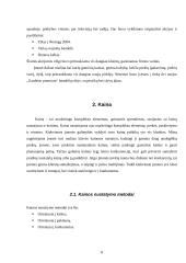 Marketingo komplekso analizė: UAB "Fazer kepykla" 8 puslapis