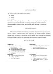 Marketingo komplekso vertinimas:  antikorozinių dažų gamyba AB "Alytaus chemija" 12 puslapis