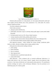 Marketingo komplekso vertinimas:  antikorozinių dažų gamyba AB "Alytaus chemija" 6 puslapis