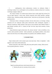 Marketingo komplekso vertinimas:  antikorozinių dažų gamyba AB "Alytaus chemija" 8 puslapis