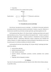 Marketingo komplekso vertinimas:  antikorozinių dažų gamyba AB "Alytaus chemija" 10 puslapis