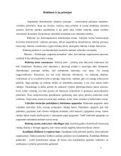 Rinkimai ir jų principai 1 puslapis