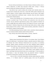 Rinkimai ir jų principai 6 puslapis