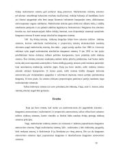 Rinkimai ir jų principai 8 puslapis