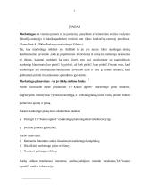 Marketingo planas: turizmo agentūra "Kauno ugnelė" 2 puslapis