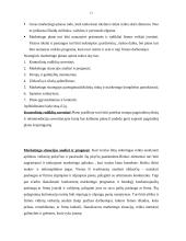 Marketingo planas: turizmo agentūra "Kauno ugnelė" 11 puslapis