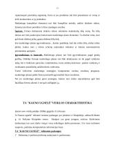 Marketingo planas: turizmo agentūra "Kauno ugnelė" 13 puslapis