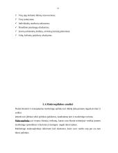 Marketingo planas: turizmo agentūra "Kauno ugnelė" 14 puslapis