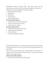 Marketingo planas: turizmo agentūra "Kauno ugnelė" 15 puslapis