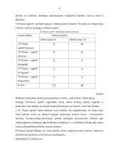 Marketingo planas: turizmo agentūra "Kauno ugnelė" 19 puslapis