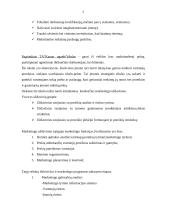 Marketingo planas: turizmo agentūra "Kauno ugnelė" 6 puslapis