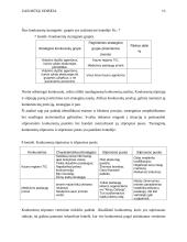 Turizmo agentūra "Mūsų Odisėja" ir jos marketingo planas 13 puslapis