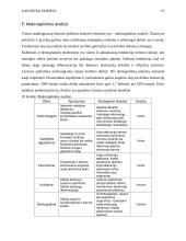 Turizmo agentūra "Mūsų Odisėja" ir jos marketingo planas 15 puslapis