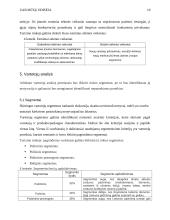 Turizmo agentūra "Mūsų Odisėja" ir jos marketingo planas 10 puslapis