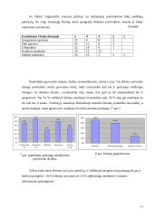 Marketingo planas: viešbutis "Perkūno namai" 13 puslapis