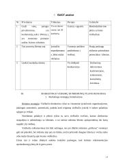 Marketingo planas: viešbutis "Perkūno namai" 14 puslapis