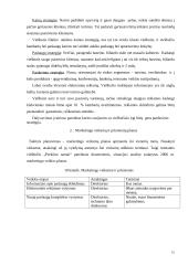 Marketingo planas: viešbutis "Perkūno namai" 15 puslapis