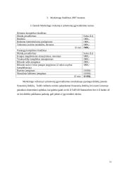 Marketingo planas: viešbutis "Perkūno namai" 16 puslapis