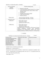 Marketingo planas: viešbutis "Perkūno namai" 6 puslapis