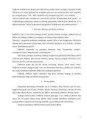 Marketingo planas: viešbutis "Perkūno namai" 7 puslapis