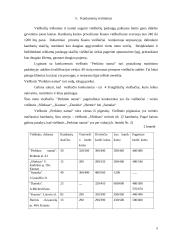 Marketingo planas: viešbutis "Perkūno namai" 8 puslapis