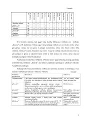 Marketingo planas: viešbutis "Perkūno namai" 9 puslapis