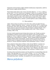 Raudonoji planeta Marsas 11 puslapis