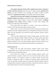 Masažo poveikis žmogaus organizmui 2 puslapis