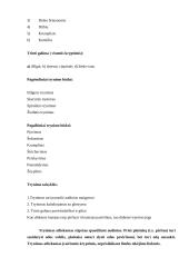 Masažo poveikis žmogaus organizmui 11 puslapis