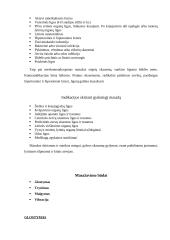 Masažo poveikis žmogaus organizmui 8 puslapis