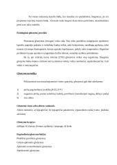 Masažo poveikis žmogaus organizmui 9 puslapis