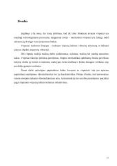 Mašinų apsauga nuo vibracijos 11 puslapis