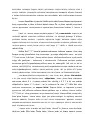 Materialūs ir nematerialūs vertybiniai popieriai 20 puslapis