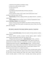 Materialūs ir nematerialūs vertybiniai popieriai 3 puslapis