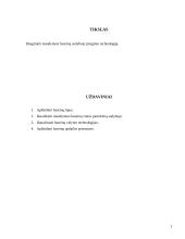 Maudymosi baseinų sodyboje įrengimo technologija 2 puslapis