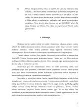 Maudymosi baseinų sodyboje įrengimo technologija 6 puslapis