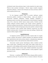 Mechaninis medžiagų ir ruošinių apdirbimas. Gamybos procesų mechanizavimas ir automatizavimas 16 puslapis