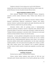 Mechaninis medžiagų ir ruošinių apdirbimas. Gamybos procesų mechanizavimas ir automatizavimas 20 puslapis