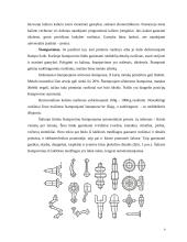 Mechaninis medžiagų ir ruošinių apdirbimas. Gamybos procesų mechanizavimas ir automatizavimas 9 puslapis