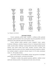 Mechaninis medžiagų ir ruošinių apdirbimas. Gamybos procesų mechanizavimas ir automatizavimas 10 puslapis