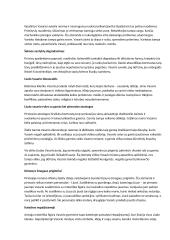 Vinco Mykolaičio-Putino konspektas su rašiniais 2 puslapis