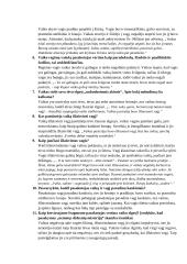 Jurgio Savickio novelė „Vagis“ (klausimai - atsakymai) 2 puslapis