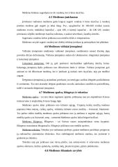 Medienos paruošimas 12 puslapis