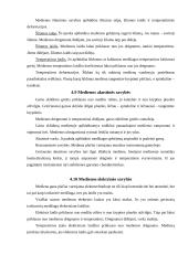 Medienos paruošimas 13 puslapis