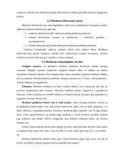 Medienos paruošimas 15 puslapis