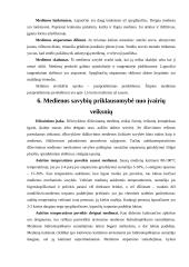 Medienos paruošimas 16 puslapis