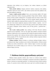 Medienos paruošimas 17 puslapis