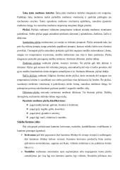 Medienos paruošimas 19 puslapis