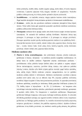 Medienos paruošimas 20 puslapis